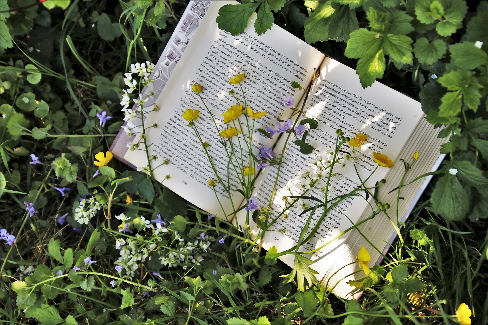 Book in a field of flowers to represent Educational resources