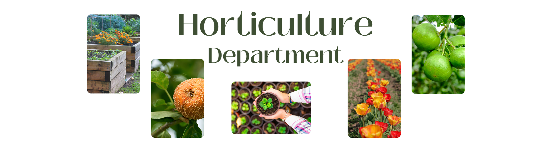 Horticulture Department