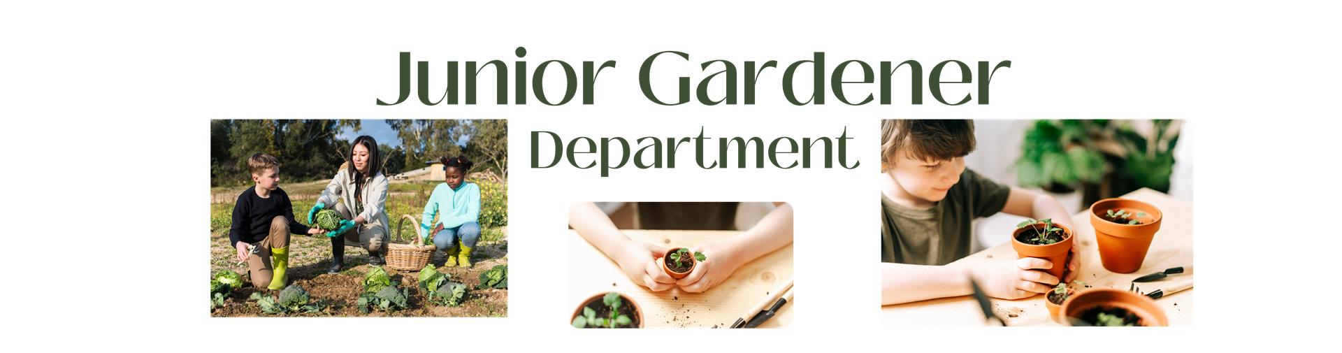 Junior Gardener Department