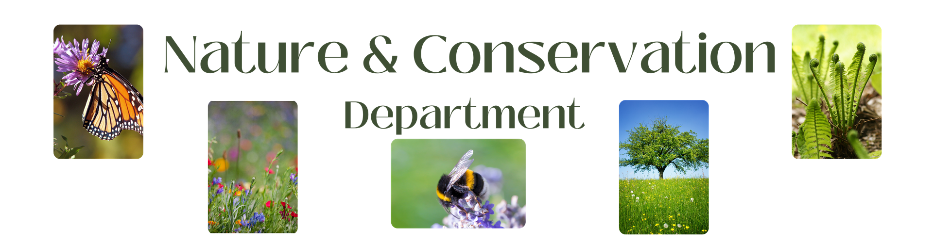 Nature and Conservation Department